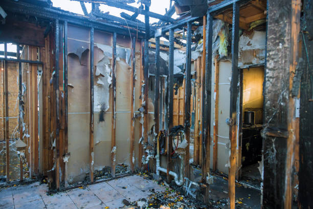 Professional Fire Damage Removal technician working in Verona Walk, FL
